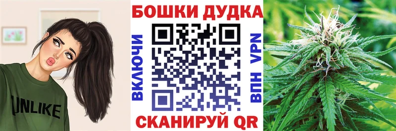 Конопля OG Kush  Новокубанск 